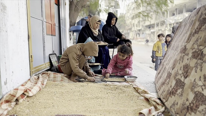 Açlıkla mücadele eden Gazze'nin kuzeyindeki Filistinliler, hayatta kalmak için "hayvan yemi" tüketiyor