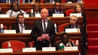 رئيس تونس ينتقد "إغفال" ملف فلسطين من القمة الإيطالية الإفريقية