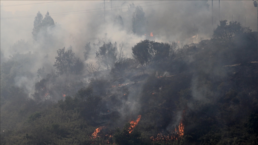 Death toll rises to 51 in Chile forest fires