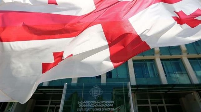В Грузии ждут от Киева информации по делу о попытке провоза взрывчатки в РФ