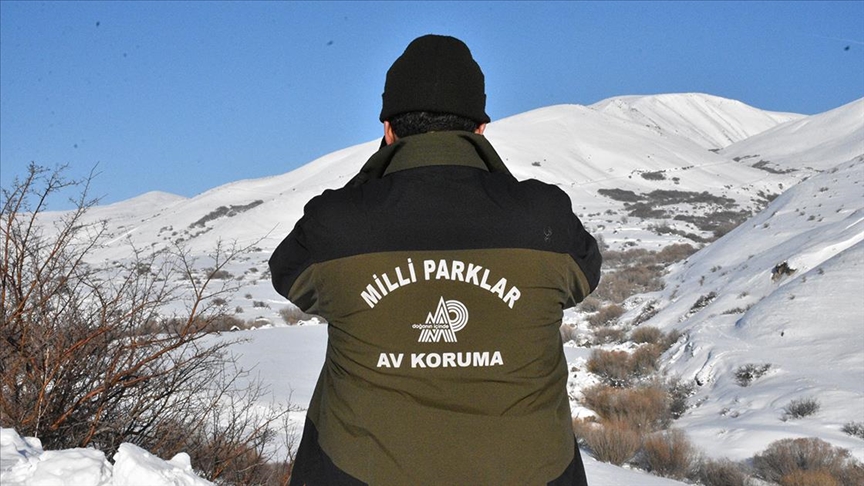 Fotokapanlardan gelen anlık görüntülerle kaçak avlanmayla mücadele ediyorlar 