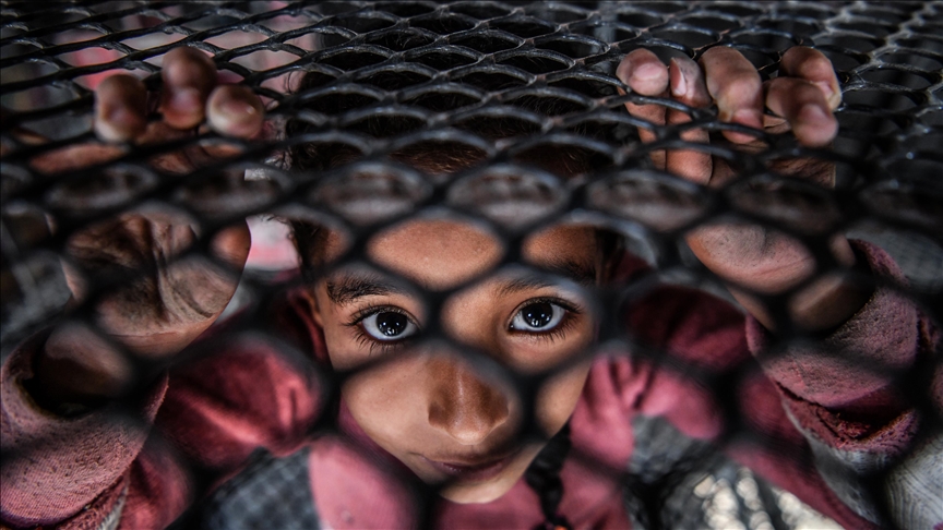 Genocidio, educidio, ecocidio y las variadas formas de destrucción en la Franja de Gaza