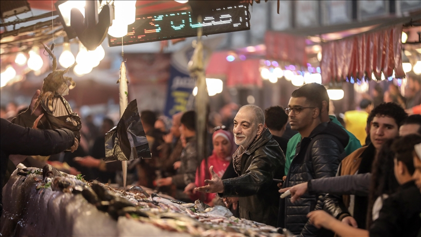 مصر.. سوق السمك ببورسعيد جار المتوسط وقِبلة السياح (تقرير)
