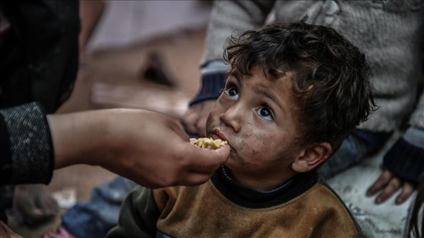 Palestinians in northern Gaza Strip cannot even find fodder to eat ...