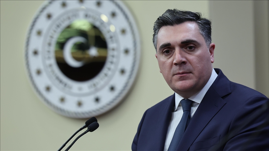 Глава МИД: Грузия придает большое значение отношениям с Турцией
