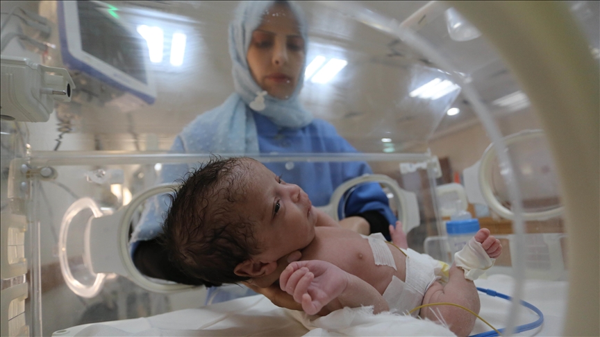 الأمم المتحدة: 77 مولودا في 20 حضانة بمستشفى الهلال الإماراتي برفح