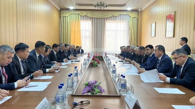 Душанбе и Бишкек согласовали еще более 1 км госграницы