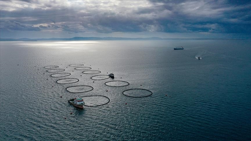 Türkiye breaks record in fisheries with 1M tons in 2023: Agency
