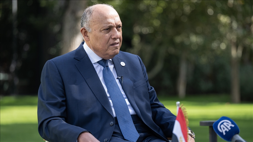 Türkiye, Egypt official visits develop bilateral ties, says Egyptian Foreign Minister 