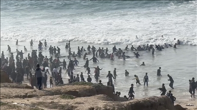 UN chief calls for independent investigation into killings of Palestinians awaiting aid in Gaza