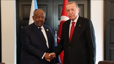 أردوغان يبحث مع نظيره الجيبوتي العلاقات وقضايا إقليمية وعالمية