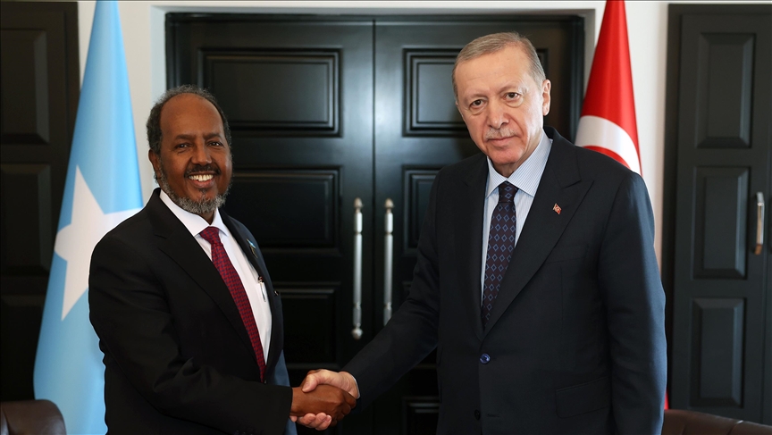 Turkish, Somali presidents discuss Israeli ‘massacres’ in Palestine ...