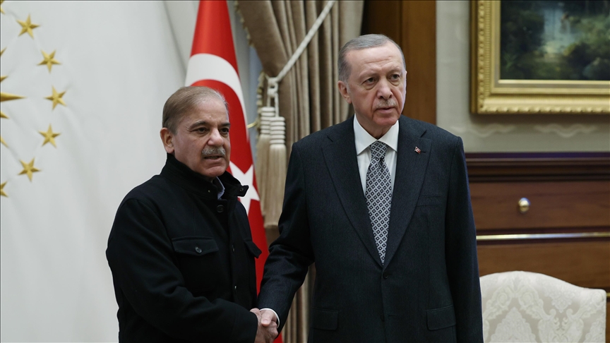 Turkish President Erdogan congratulates Pakistan Premier Sharif on reelection