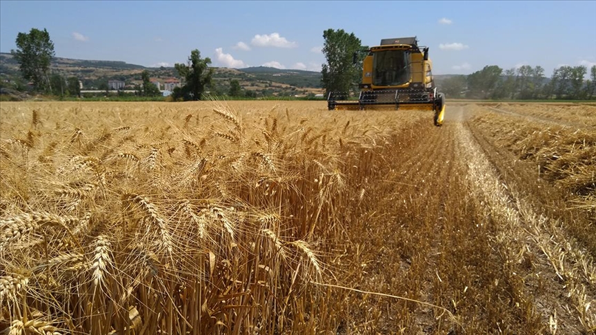 Trakya'da "İklimTrak" projesiyle toprakların iklim değişikliğine uyumu sağlanacak