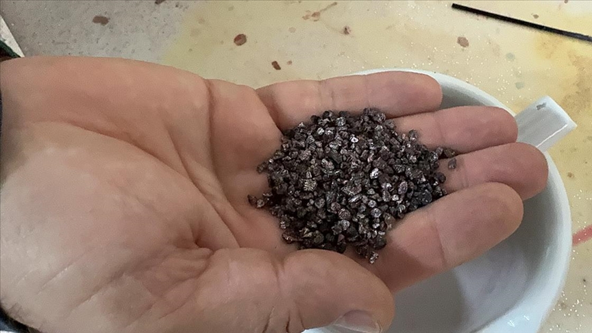 SDÜ'lü bilim insanları boyamada kullanılan 7'nci böcek türünü literatüre kazandırdı