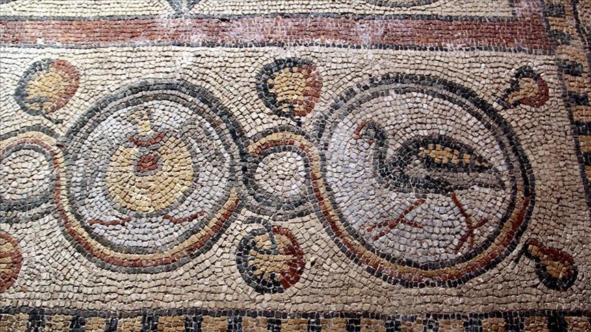 Restorasyonu tamamlanan 1600 yıllık mozaikler Sinop turizmine kazandırılmayı bekliyor