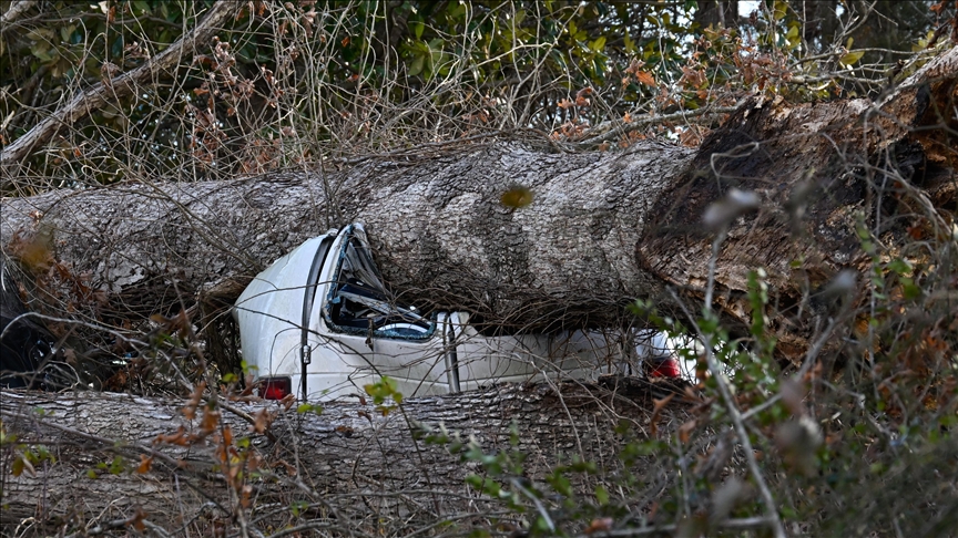 2 killed, 58 injured as tornado tears through 2 US states