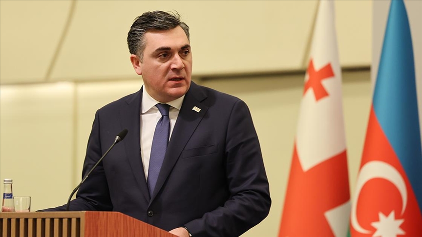 Gürcistan Dışişleri Bakanı Darçiaşvili: Türkiye ve Gürcistan ile çok boyutlu işbirlikleriyle birbirimize bağlıyız