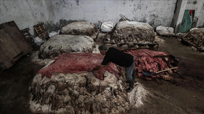رغم الدمار والحصار.. ملجأ فلسطيني يرعى الحيوانات في رفح