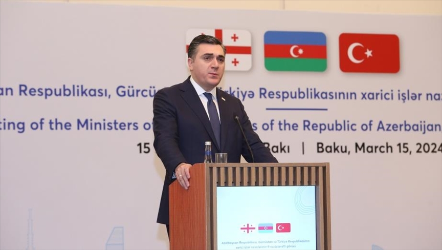 Глава МИД Грузии: Тбилиси, Анкару и Баку связывает многоплановое сотрудничество