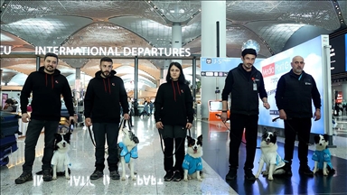 "Qentë terapikë" fillojnë detyrën në Aeroportin e Istanbulit