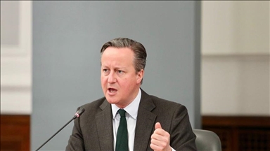 Britanski ministar Cameron o izborima u Rusiji: Ovo nije demokratija