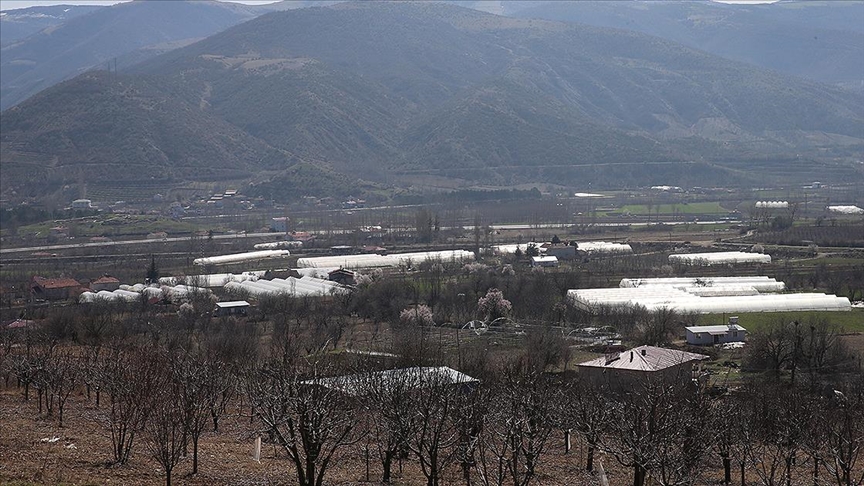 Köydeki sera üretimi 23 yılda 500 metrekareden 400 dekara çıktı