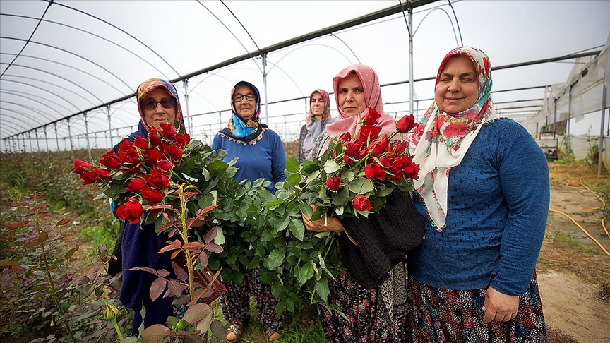 Köylü kadınlar, kurdukları gül serasını 4 yılda 4 kat büyüttü