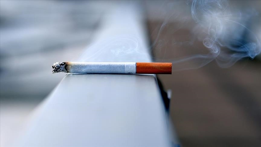 Araştırma: Sigara içenlerde iç organ yağlanması, içmeyenlere göre daha fazla olabilir