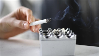 Исследование: У курильщиков может быть больше висцерального жира, чем у некурящих