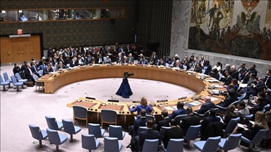 Israeli scholar slams UN Security Council's inaction on Gaza