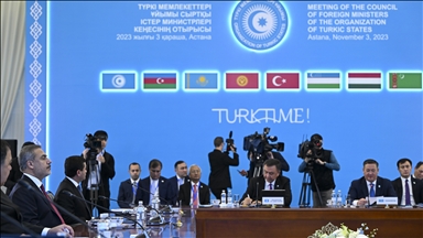Strong Turkic unity will contribute to peace worldwide: Türkiye