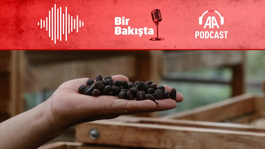 “Yıkanmış Kolombiya”, “Anaerobik Etiyopya” nedir? Kahveye hangi işlemler uygulanır? 