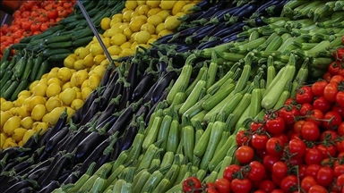 اشرفی‌ اصفهانی: بازار محصولات کشاورزی ایران در سوریه به کمتر از 20 درصد کاهش یافته است