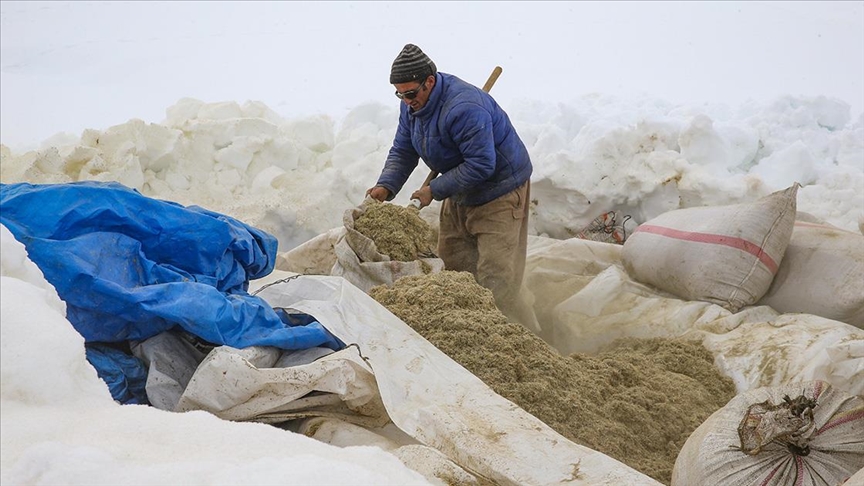 Hakkari'de "kar esareti" altındaki mahallede besicilerin mesaisi ramazanda da sürüyor