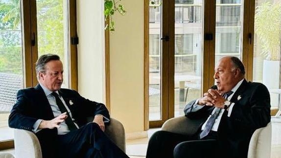 شكري وكاميرون يؤكدان ضرورة تنفيذ قرار وقف إطلاق النار بغزة