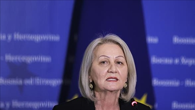 Krišto pisala zvaničnicima EU: BiH treba izborni zakon koji neće biti produkt nametanja ili preglasavanja