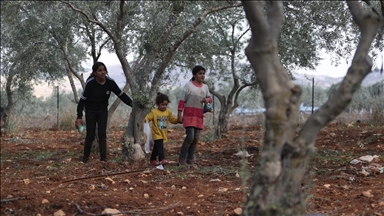 Waste from illegal Israeli settlements threatens public health, agriculture in West Bank