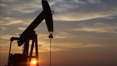 Türkiye'nin petrol ithalatı ocakta yüzde 11,02 arttı