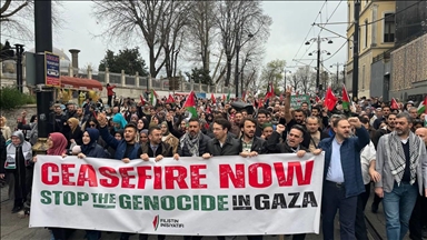 Israeli attacks on Gaza protested by thousands in Istanbul