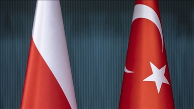 Polonyalı Türkolog Olszowska'ya göre Türkiye-Polonya savunma sanayi işbirliği mümkün ve gerekli