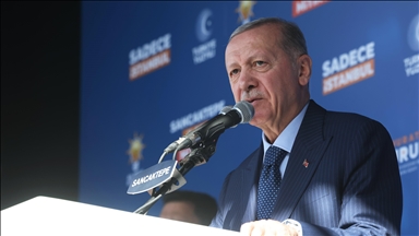 Türkiye making 'intense efforts' to pressure Israel post-UN cease-fire decision: President Erdogan