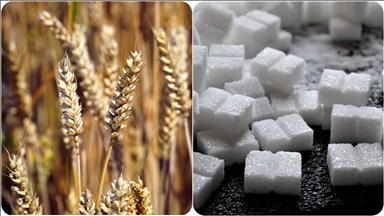 Tahıl ve şekerin insan hayatına girmesiyle diş çürüklerinin arttığı belirlendi