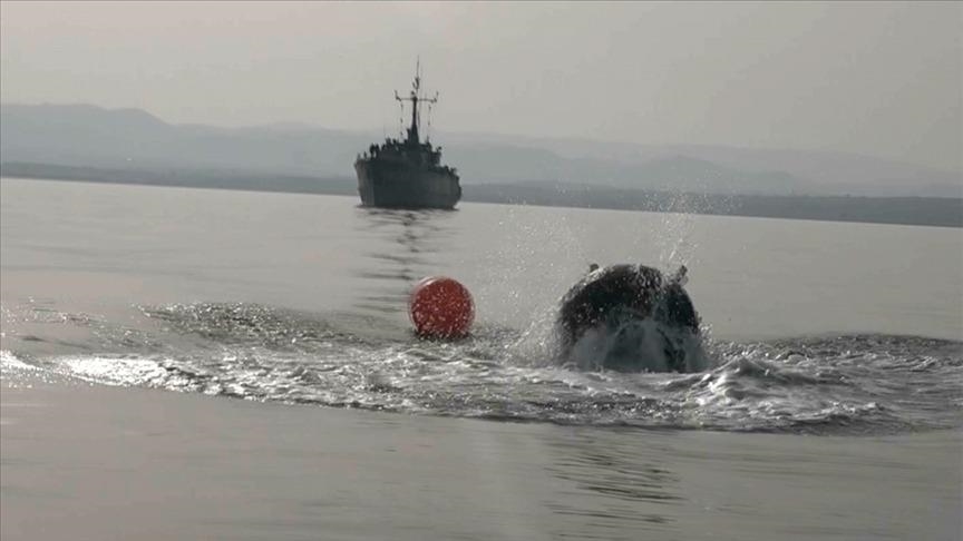 Турция прилагает усилия для разминирования в Черном море