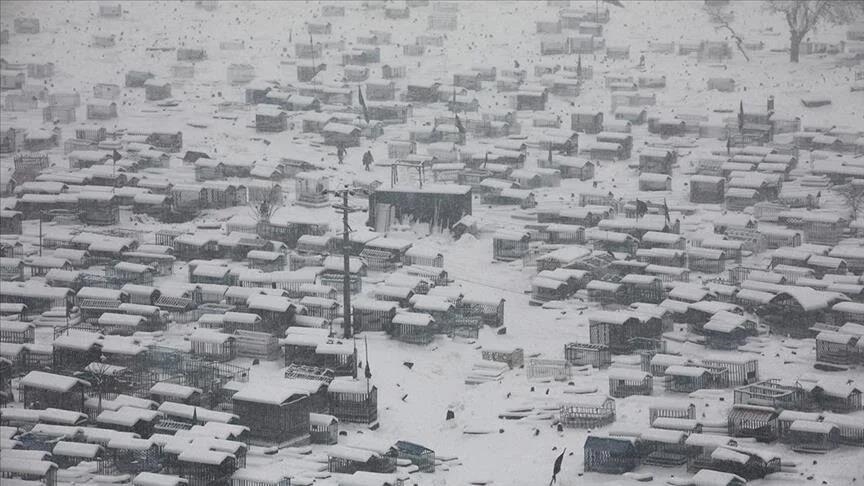 Vala e të ftohtit në Afganistan vret mbi çerek milioni krerë bagëtish