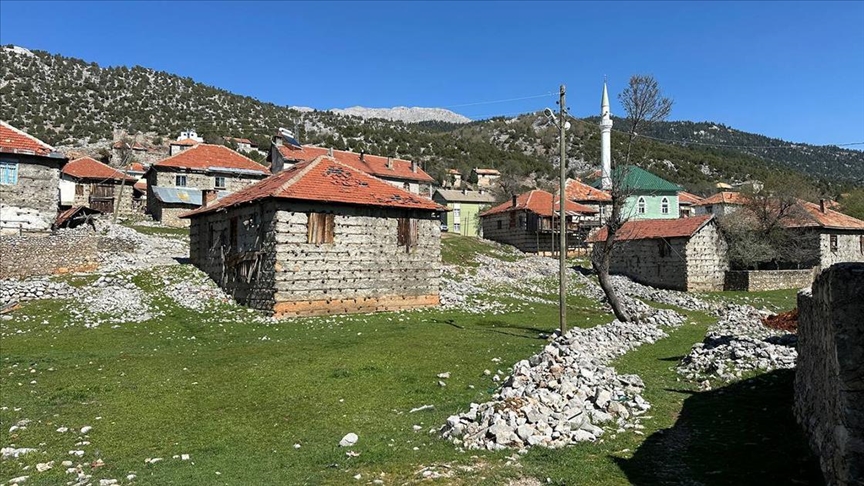 Antalya'da çoban köpeklerinin saldırısına uğrayan kadın öldü