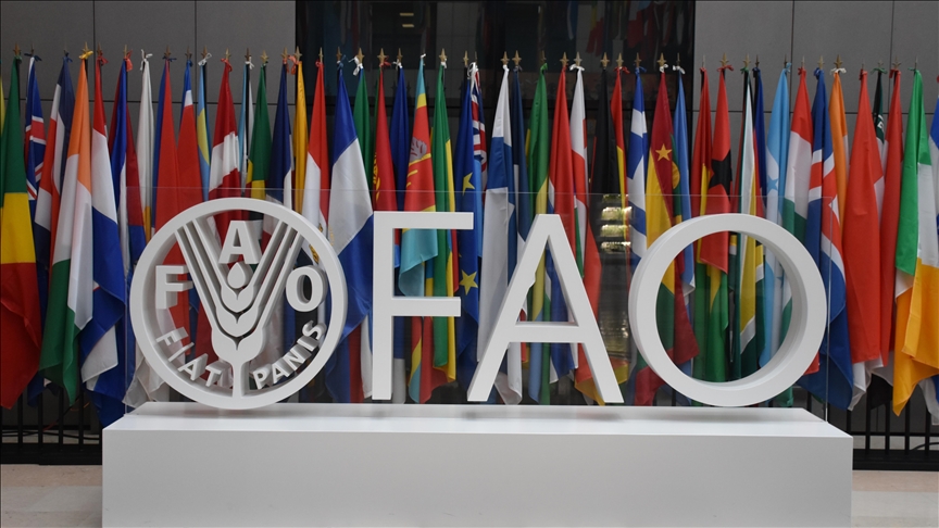 Global food prices up after 7-month downward trend Global food prices up after 7-month downward trend