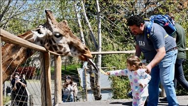 Kocaeli'deki hayvanat bahçesi bayramda ziyaretçilerini ağırlamaya hazır