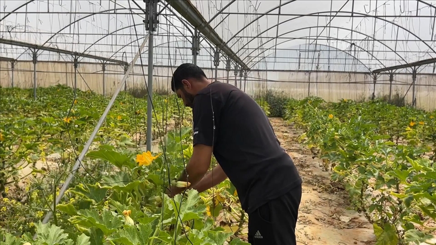 الأسمدة التركية مفضلة لدى المزارعين الفلسطينيين