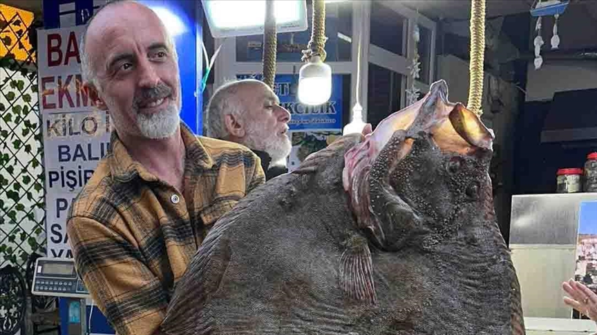 Sinop'ta avlanan 12 kilogramlık kalkan balığı 14 bin 500 liraya satıldı